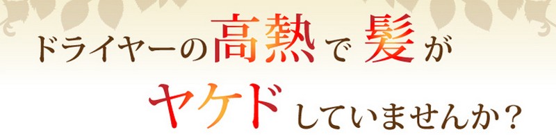 �ቷ�g���[�g�����g�h���C���[���T�C�g